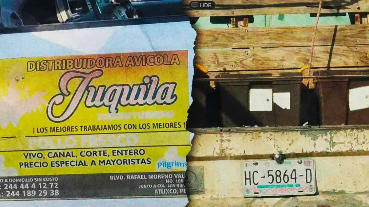 Graban a un hombre que abandonó a su perro en calles de Atlixco 