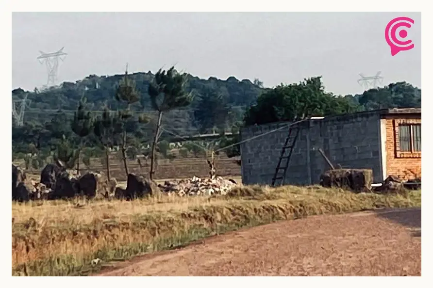 Activistas denuncian caso de crueldad animal en Zacatlán; “Lanuda” murió ahorcada y MP negó atención