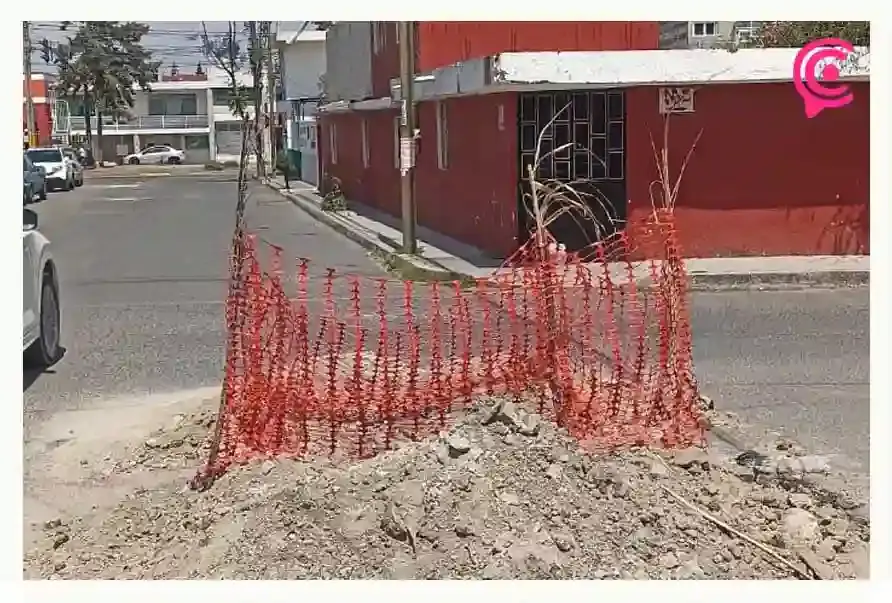 Acusan de negligencia a Agua de Puebla; utiliza palmeras y carrizos para señalización de obras