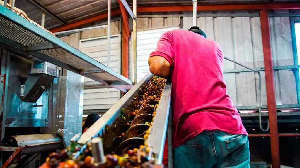 Puebla tendrá una planta procesadora de alimentos del Gobierno de México