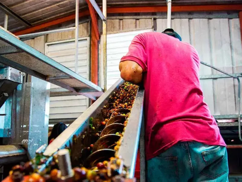 Puebla tendrá una planta procesadora de alimentos del Gobierno de México