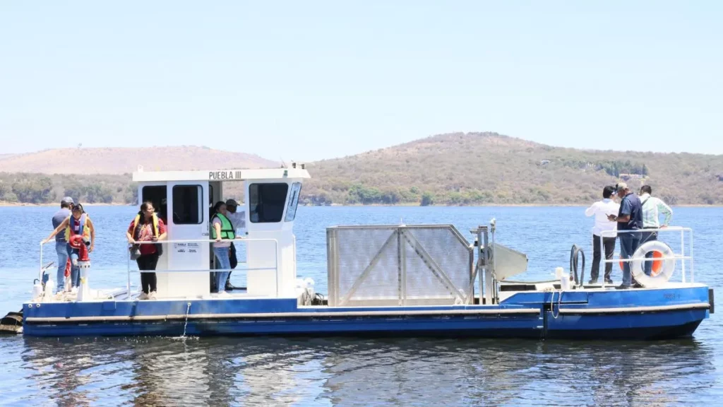 Fertipue: proyecto innovador que transformará el lirio del Lago de Valsequillo