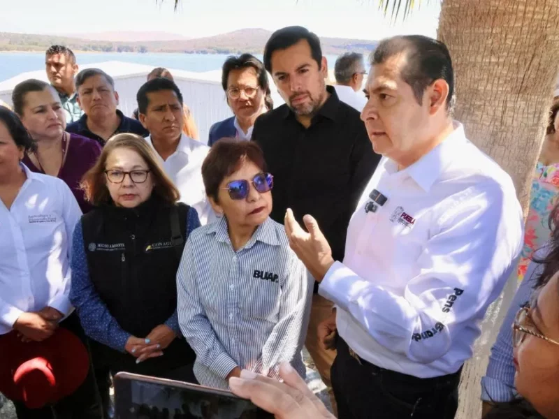 Fertipue: proyecto innovador que transformará el lirio del Lago de Valsequillo