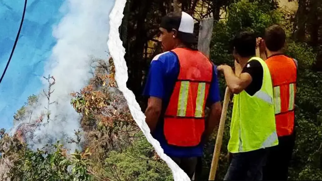 Pobladores demandan ayuda para sofocar incendio forestal en Chichiquila, Puebla 