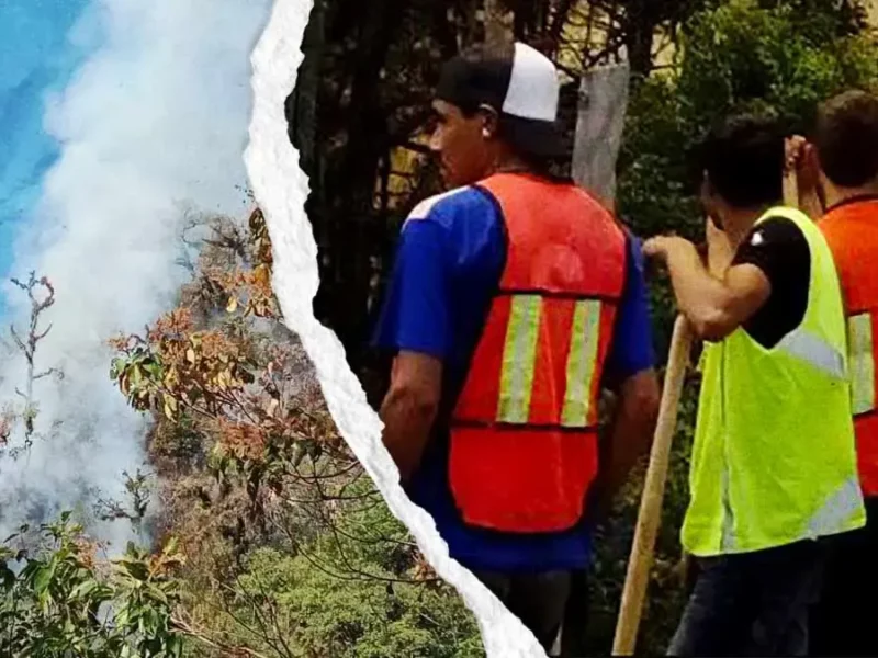 Pobladores demandan ayuda para sofocar incendio forestal en Chichiquila, Puebla 
