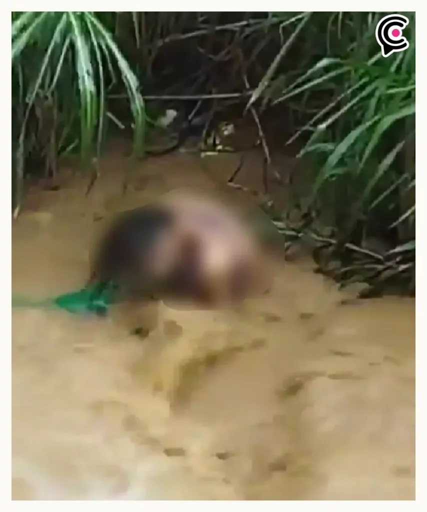 Mujer trans murió ahogada y torturada en Colombia; agresores le rompieron las piernas y brazos