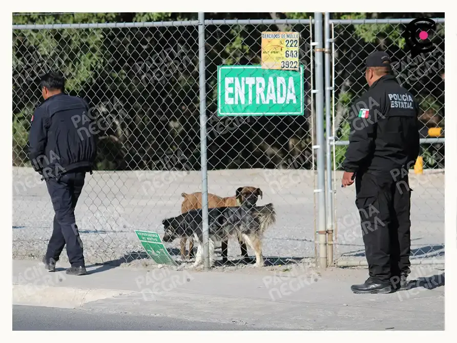 Tras operativo, FGR aseguró una gasera en El Encinar, Puebla; aparentemente vendía hidrocarburo robado