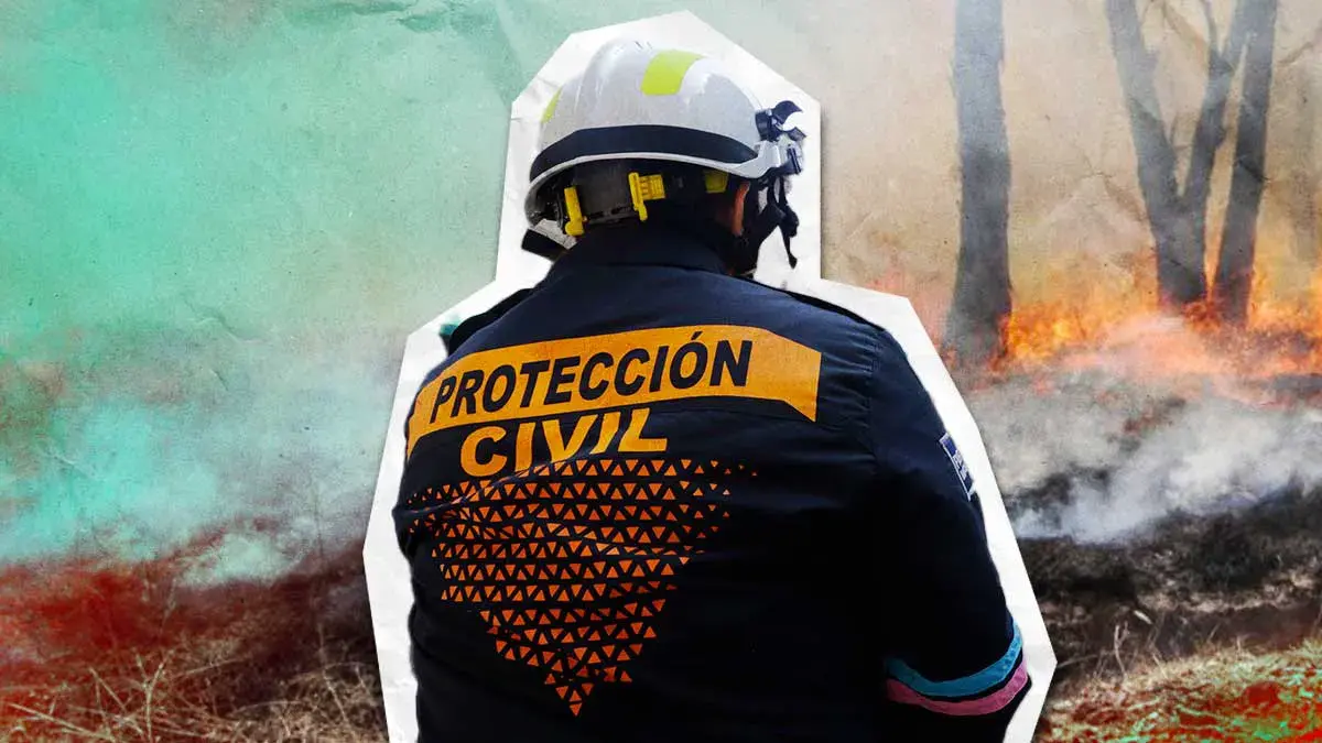 Protección Civil reporta siete incendios activos en Puebla; cuatro son áreas naturales protegidas