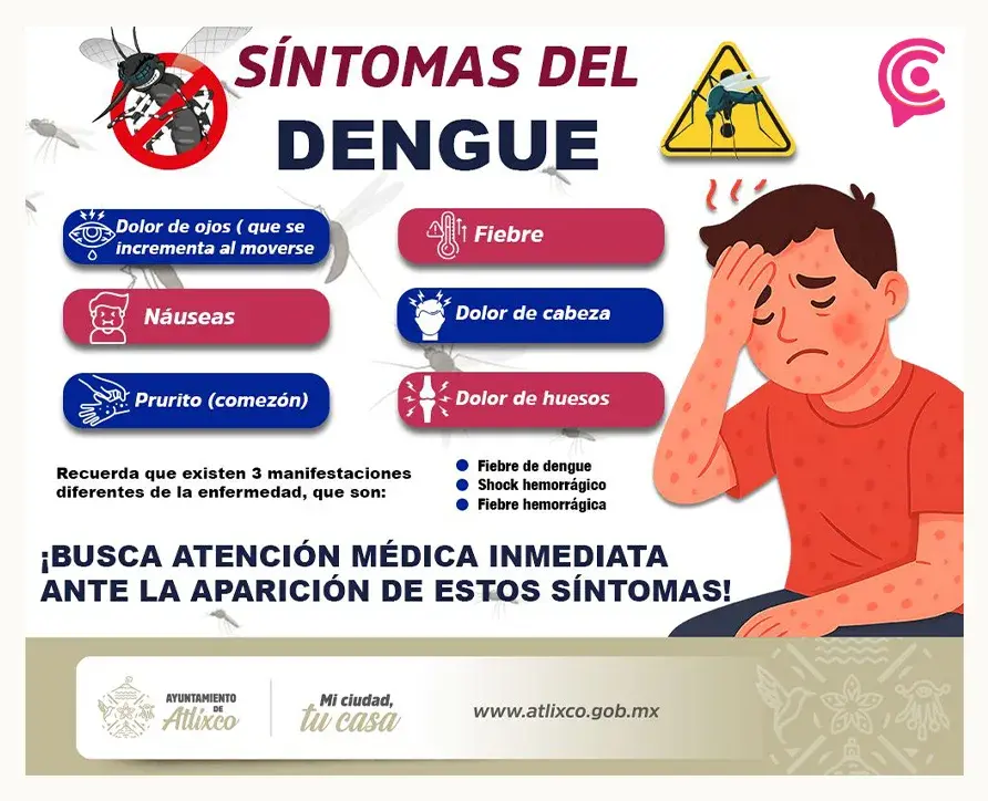 Protégete del dengue; te explicamos cómo prevenirlo