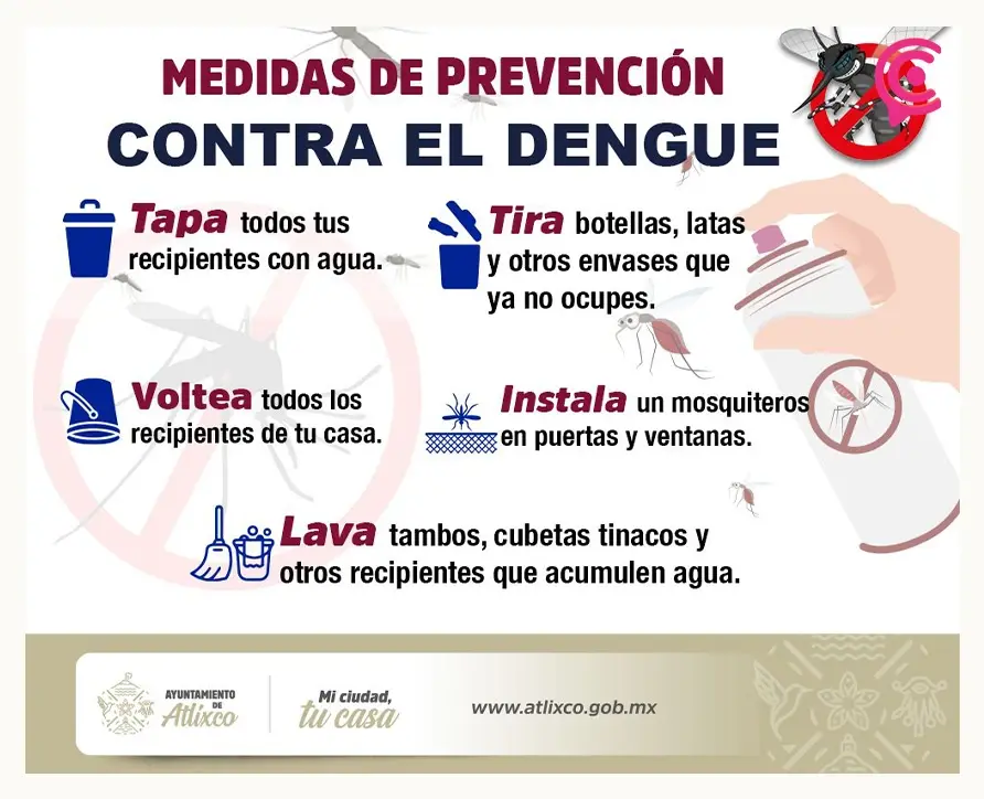 Protégete del dengue; te explicamos cómo prevenirlo