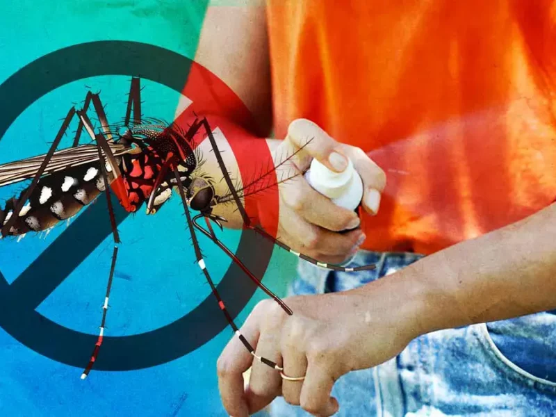 Protégete del dengue; te explicamos cómo prevenirlo