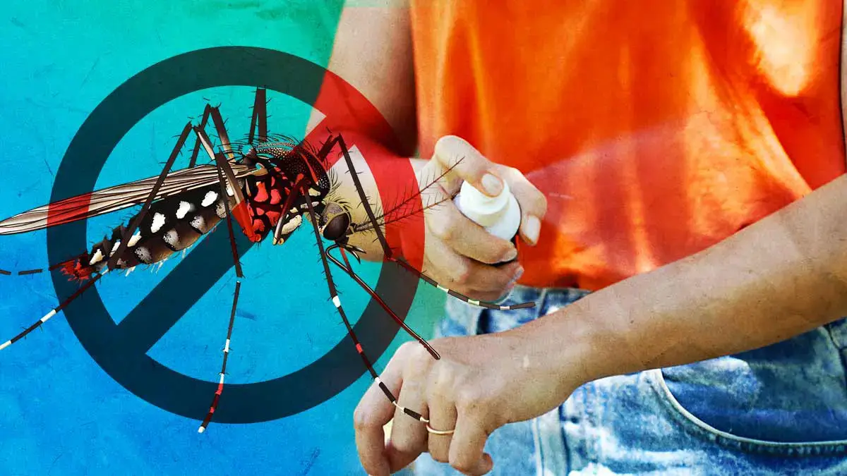 Protégete del dengue; te explicamos cómo prevenirlo