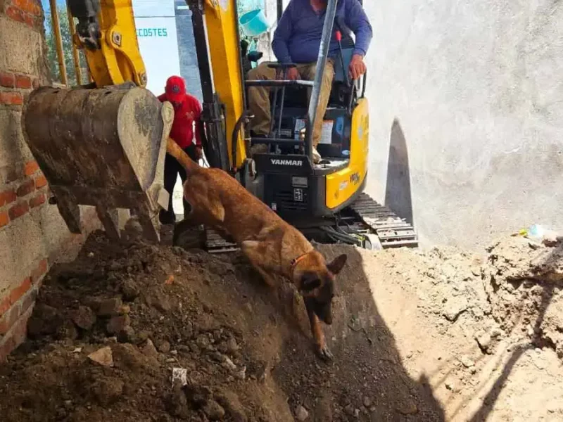Localizan restos óseos de Rafael, niño de 12 años desaparecido en Puebla 