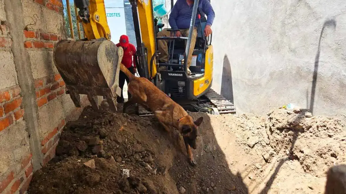 Localizan restos óseos de Rafael, niño de 12 años desaparecido en Puebla