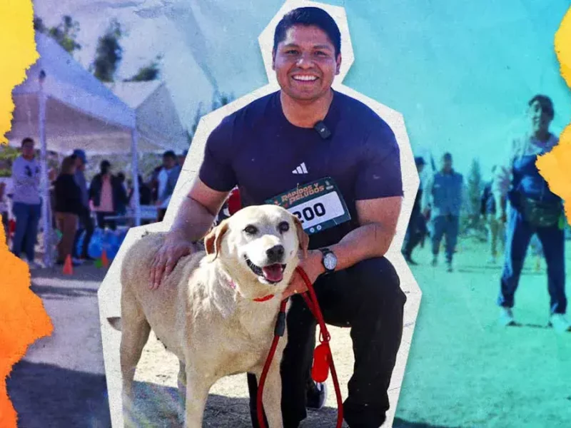 Adoptan a “Gordita”, la perrita macheteada en el mercado de Cuautlancingo; vivirá en Canadá