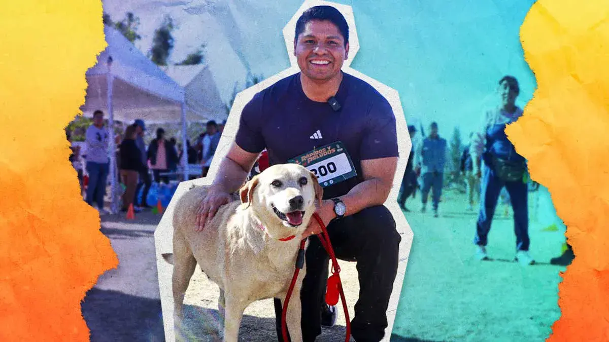 Adoptan a “Gordita”, la perrita macheteada en el mercado de Cuautlancingo; vivirá en Canadá