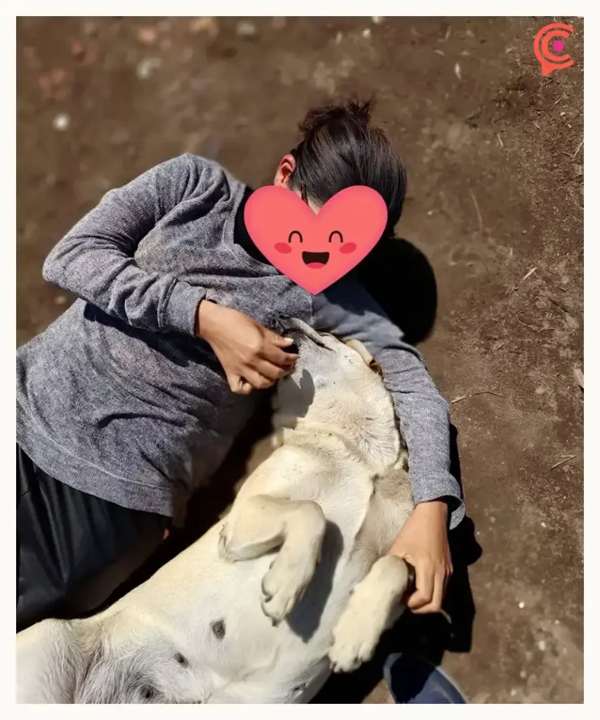 Adoptan a “Gordita”, la perrita macheteada en el mercado de Cuautlancingo; vivirá en Canadá