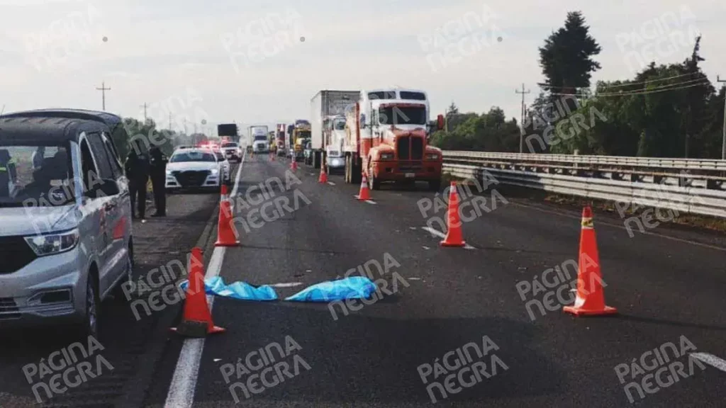 Conductor murió atropellado por tráiler en Palmar de Bravo, Puebla; revisaba su camioneta tras choque