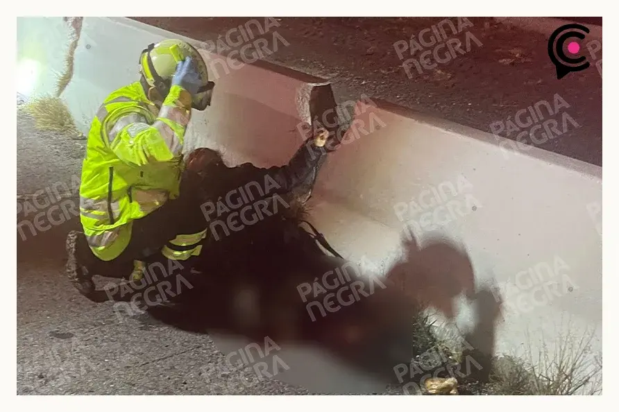 Conductor murió atropellado por tráiler en Palmar de Bravo, Puebla; revisaba su camioneta tras choque