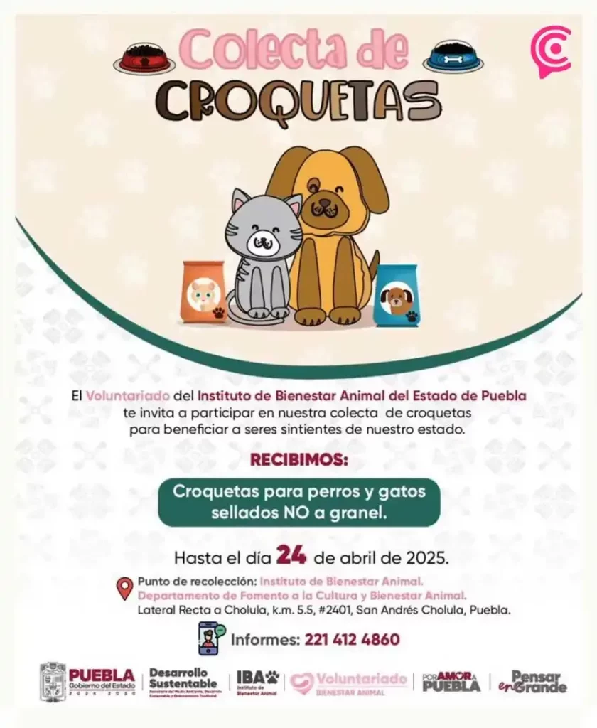 Súmate al amor por los lomitos en la colecta de croquetas del IBA Puebla 