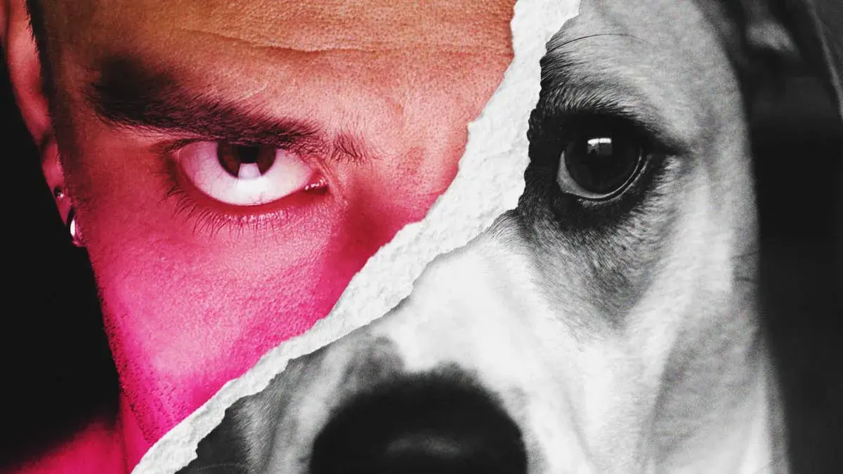 Encuentran otro perro degollado en Tehuacán; asociación sospecha prácticas de insensibilización con animales