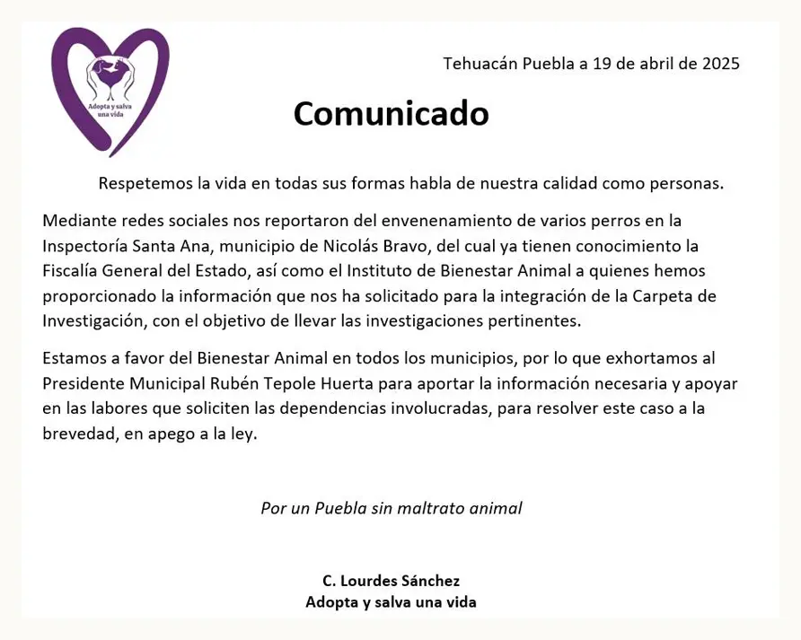 Denuncian envenenamiento masivo de perros en Inspectoría de Nicolás Bravo, Puebla; animalistas exigen justicia