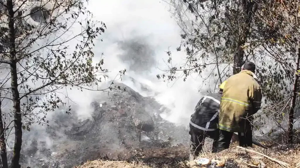 Puebla registró 29 incendios forestales en Semana Santa 2025: Segob 