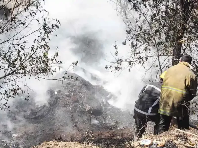 Puebla registró 29 incendios forestales en Semana Santa 2025: Segob 