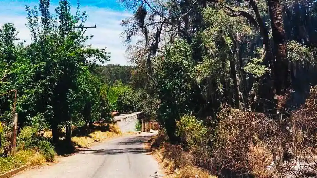 Encuentran dos cuerpos enterrados en el paraje “El Pipirin” de Santa Rita Tlahuapan, Puebla