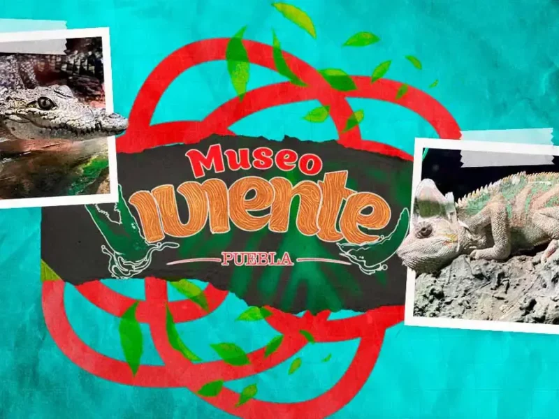 Conoce el Museo Viviente de Puebla, hogar de más de 70 especies de animales 