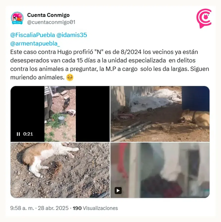 Pese a denuncias, continúa operando falso refugio de perros en San Miguel La Venta, Puebla