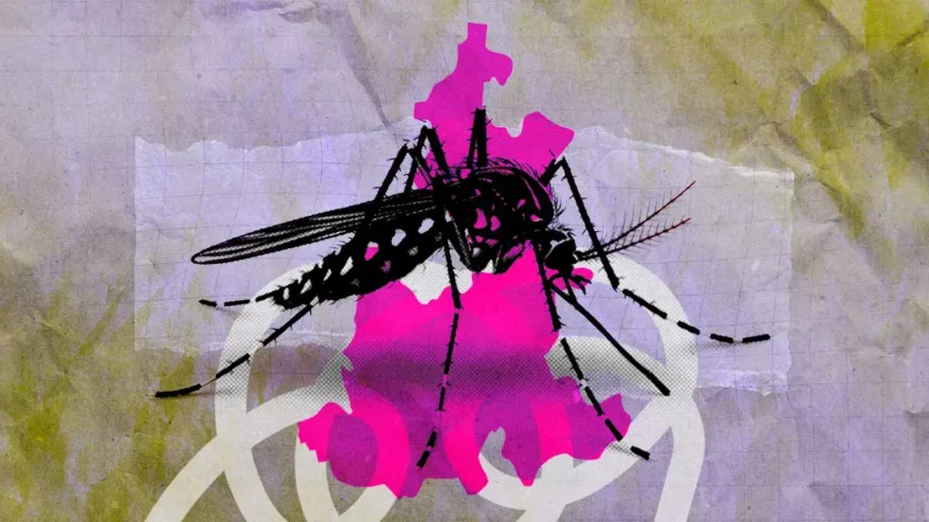 Casos de dengue en Puebla bajan 57% hasta abril 2025; cuatro municipios concentran más contagios