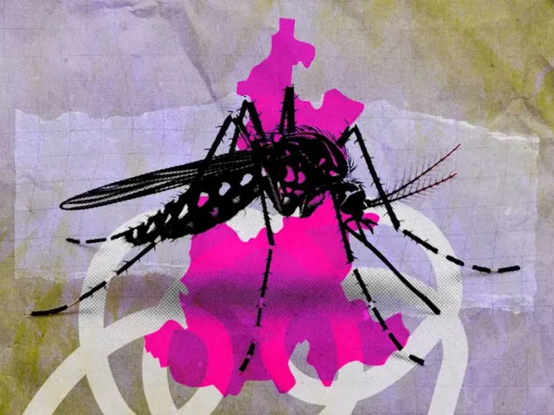 Casos de dengue en Puebla bajan 57% hasta abril 2025; cuatro municipios concentran más contagios