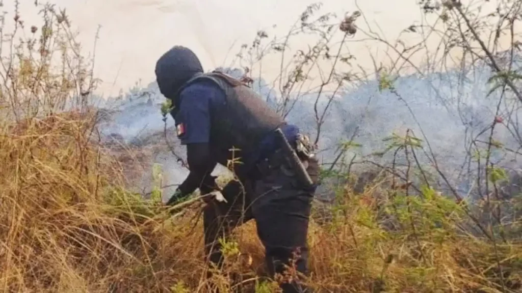 Policía Montada refuerza vigilancia en el Cerro Zapotecas y se suma al combate de incendios