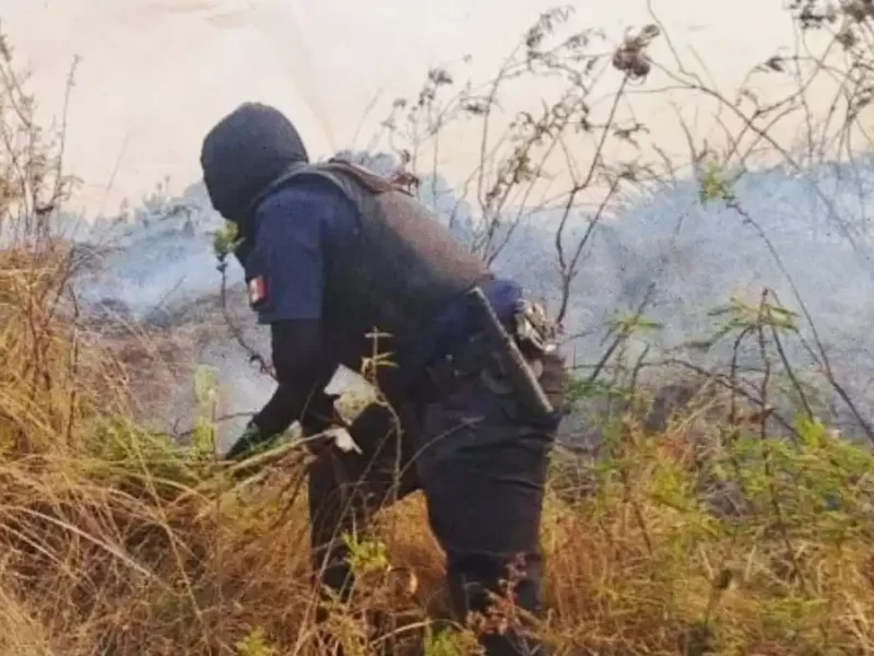 Policía Montada refuerza vigilancia en el Cerro Zapotecas y se suma al combate de incendios