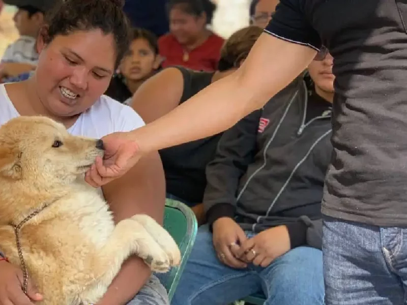Acerca Gobierno de la Ciudad jornada de bienestar animal a la colonia 20 de Noviembre