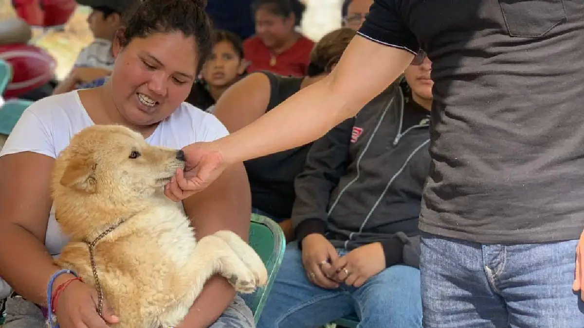 Acerca Gobierno de la Ciudad jornada de bienestar animal a la colonia 20 de Noviembre