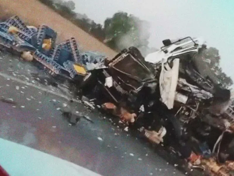 Transportista murió tras chocar contra tractocamión en Quecholac, Puebla; pobladores robaron su carga de pollos