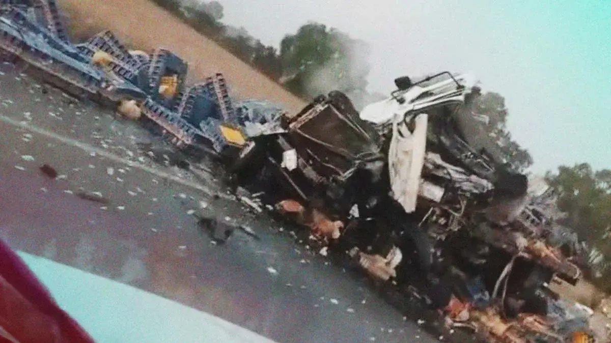 Transportista murió tras chocar contra tractocamión en Quecholac, Puebla; pobladores robaron su carga de pollos