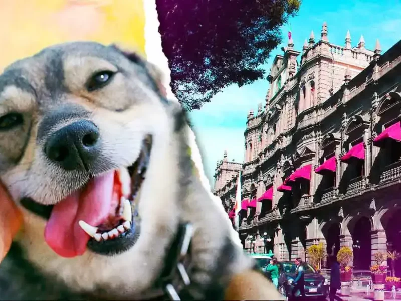 Ayuntamiento de Puebla invertirá seis mdp para rehabilitar la estancia animal de Geo Villas