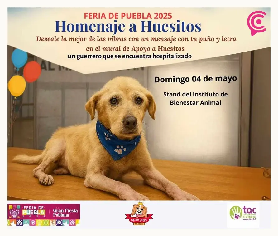 Feria de Puebla 2025 hará homenaje a “Huesitos”, víctima de maltrato animal