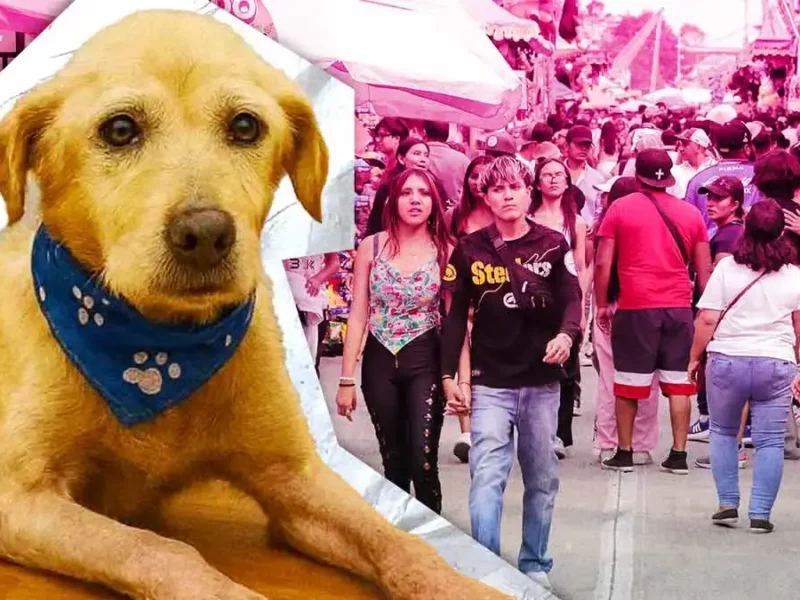 Feria de Puebla 2025 hará homenaje a “Huesitos”, víctima de maltrato animal