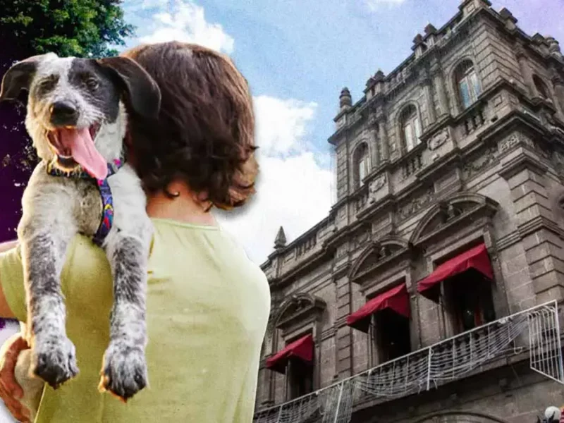 Ayuntamiento de Puebla realizó ocho jornadas de adopción de mascotas en el primer cuatrimestre 2025