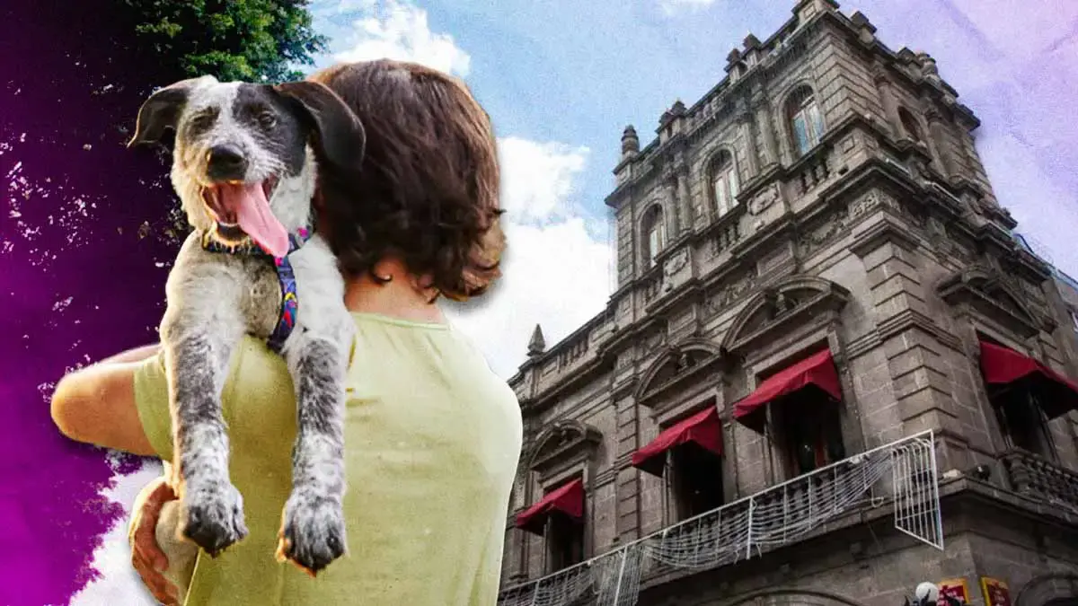 Ayuntamiento de Puebla realizó ocho jornadas de adopción de mascotas en el primer cuatrimestre 2025