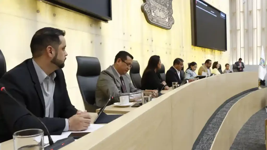 Proponen en Congreso sancionar simulación de organizaciones sin fines de lucro