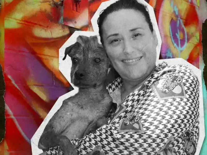 Secuestran y asesinan a María Dolores Patiño, activista defensora de los animales en Culiacán, Sinaloa