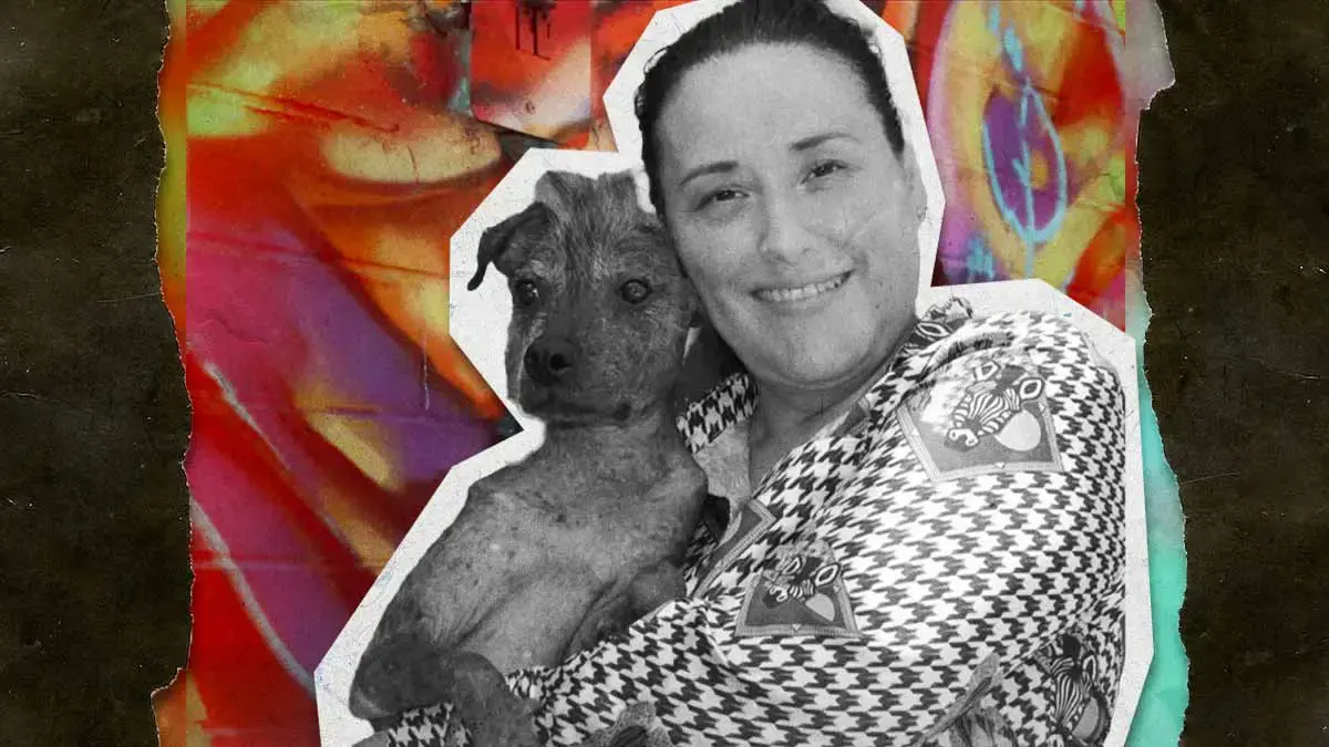 Secuestran y asesinan a María Dolores Patiño, activista defensora de los animales en Culiacán, Sinaloa