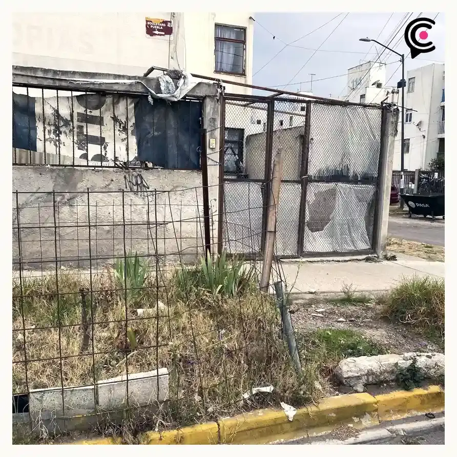 Vecinos reportan perros enfermos en jaula para auto en Bosques de San Sebastián, Puebla