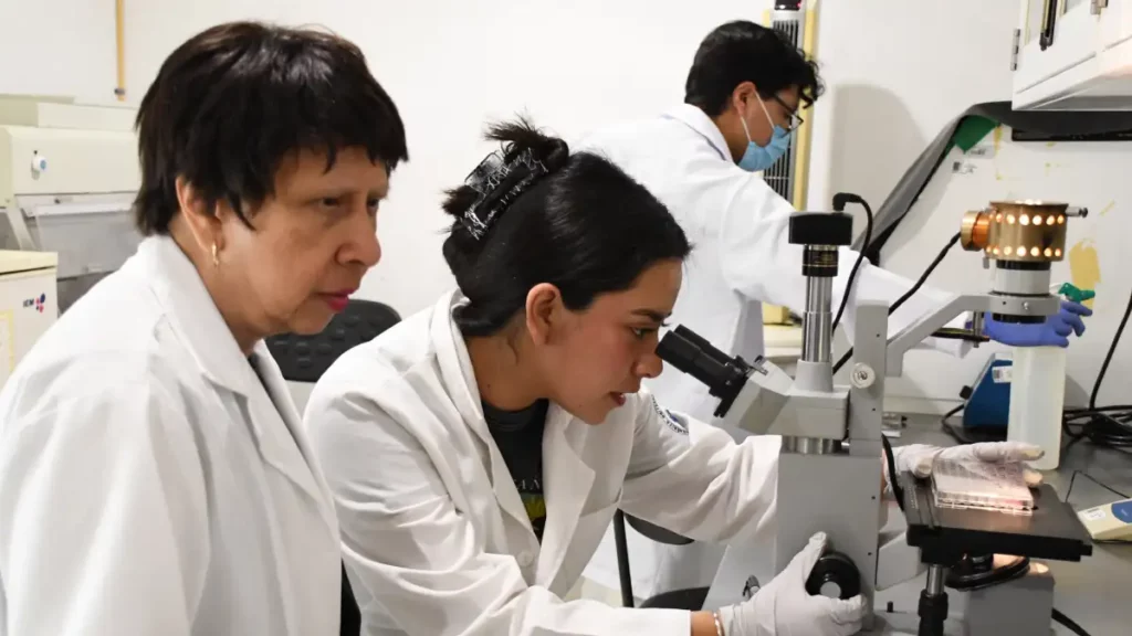 Con modelos computacionales, investigadores BUAP predicen y describen la regeneración epitelial