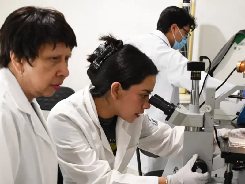 Con modelos computacionales, investigadores BUAP predicen y describen la regeneración epitelial